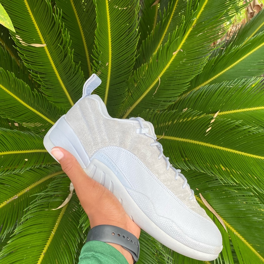 Jordan 12 low wolf grey